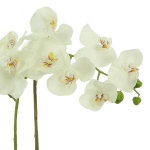 Creative Displays White Orchid Floral Arrangement