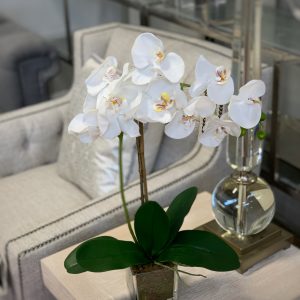 Creative Displays White Orchid Floral Arrangement