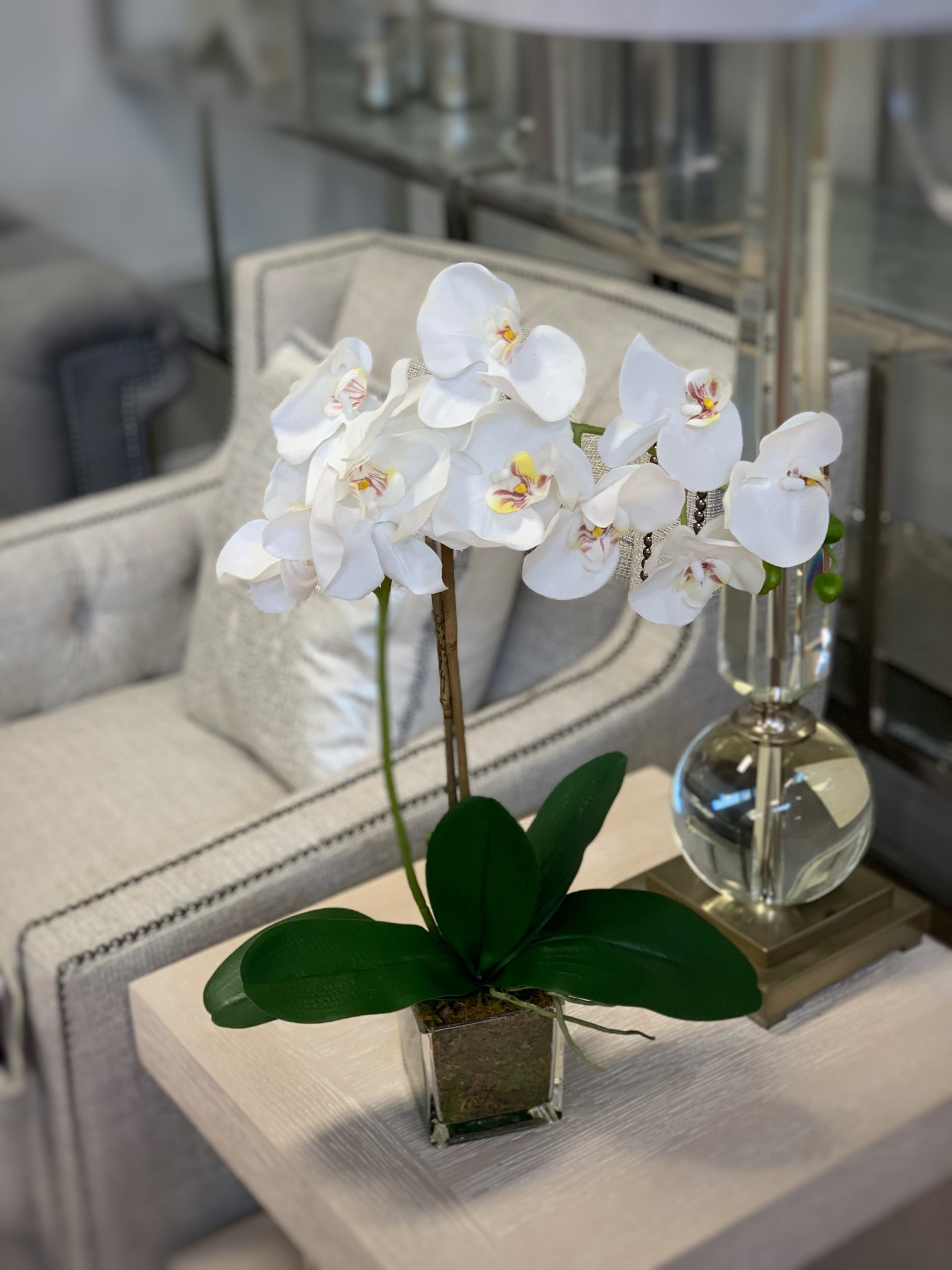 Creative Displays White Orchid Floral Arrangement