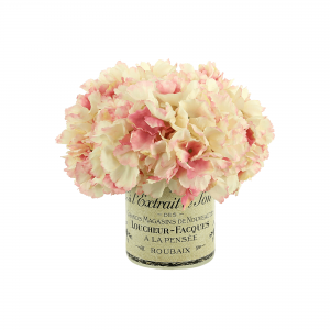 Creative Displays Hydrangea Floral Arrangement in a French Labeled Glass Vase