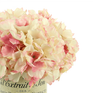 Creative Displays Hydrangea Floral Arrangement in a French Labeled Glass Vase