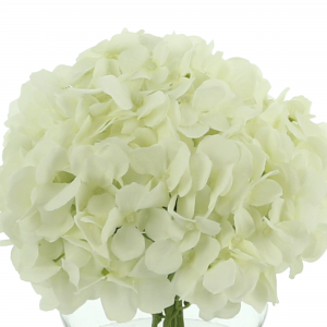 Creative Displays White Hydrangea Floral Arrangement