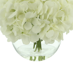 Creative Displays White Hydrangea Floral Arrangement