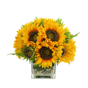 Creative Displays Sunflower Arrangement in a Square Glass Vase with Stones