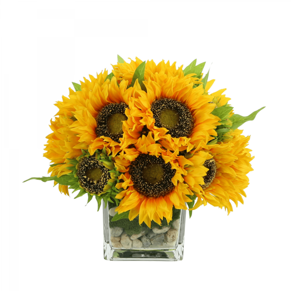 Creative Displays Sunflower Arrangement in a Square Glass Vase with Stones