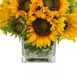 Creative Displays Sunflower Arrangement in a Square Glass Vase with Stones