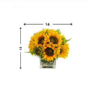 Creative Displays Sunflower Arrangement in a Square Glass Vase with Stones