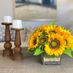 Creative Displays Sunflower Arrangement in a Square Glass Vase with Stones