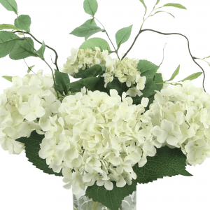 Creative Displays Cream hydrangea with curly vine arrangement in a glass vase