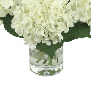 Creative Displays Cream hydrangea with curly vine arrangement in a glass vase