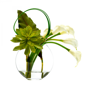 Creative Displays White Calla Lily & Succulent Floral Arrangement