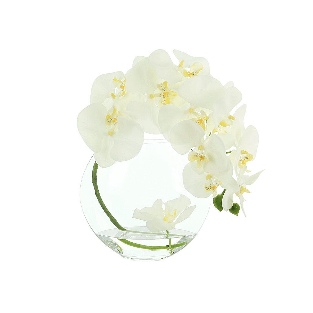 Orchid Arrangement in Flat Glass Vase Creative Displays and Designs inc