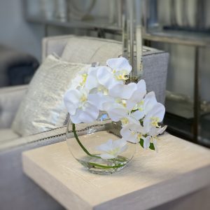 Creative Displays Orchid in Flat Glass Vase
