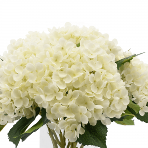 Creative Displays White Hydrangea Floral Arrangement