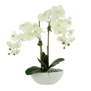 Creative Displays White Orchid Floral Arrangement