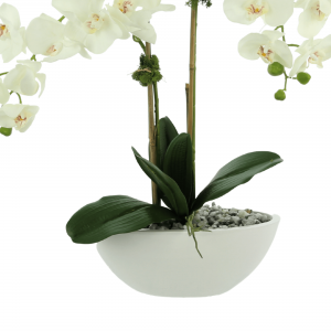 Creative Displays White Orchid Floral Arrangement