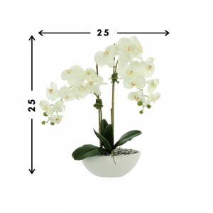 Creative Displays White Orchid Floral Arrangement