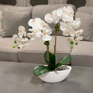 Creative Displays White Orchid Floral Arrangement