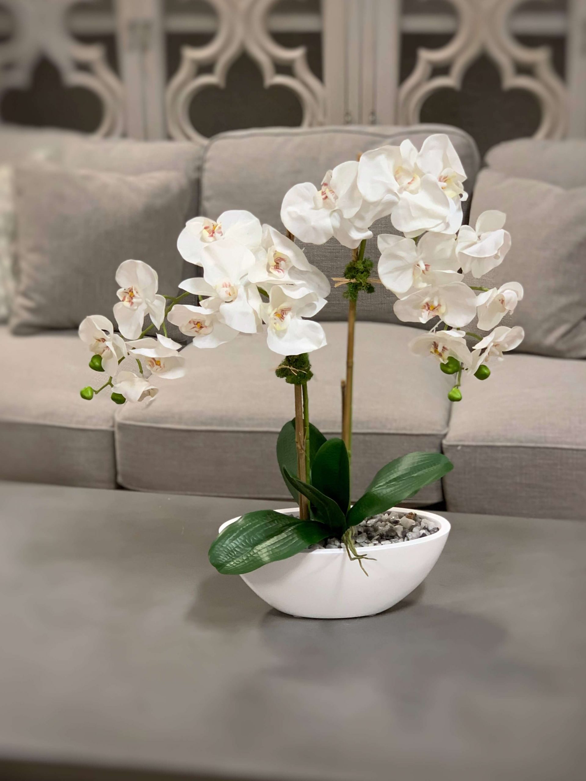 Creative Displays White Orchid Floral Arrangement