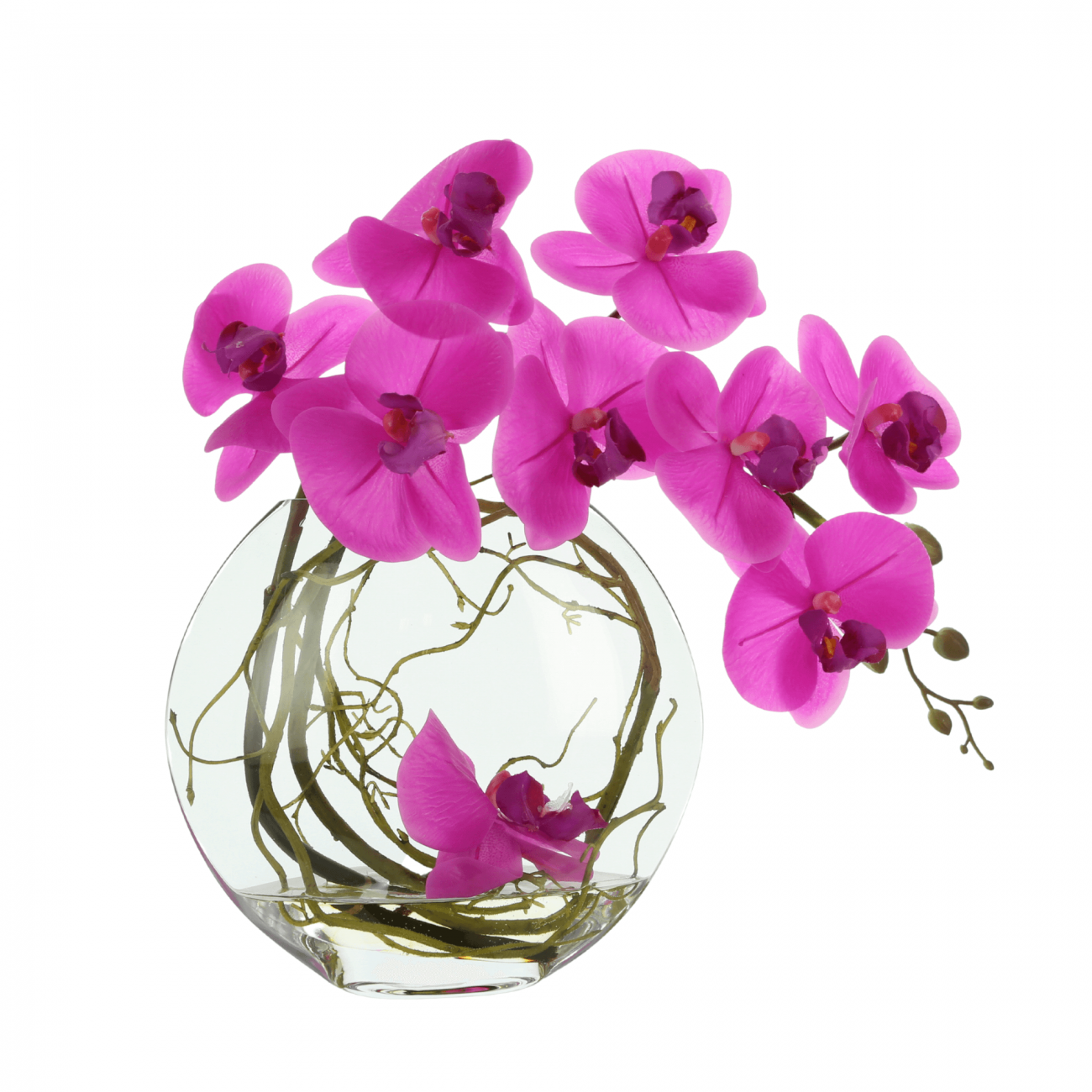 Orchid Arranged in Round Glass Vase with Vine Creative Displays and
