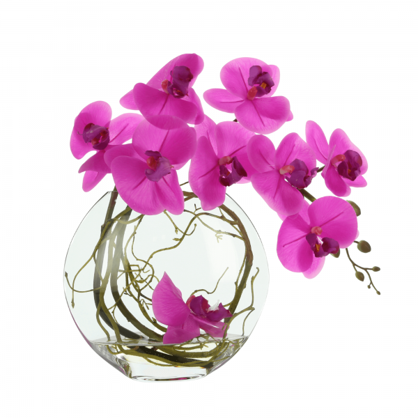 Creative Displays Pink Orchid with Vine Floral