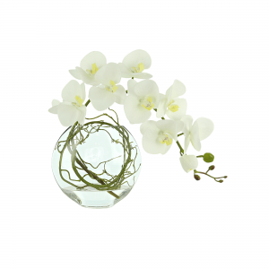 Creative Displays White Orchid With Vine Floral