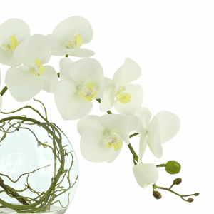 Creative Displays White Orchid With Vine Floral