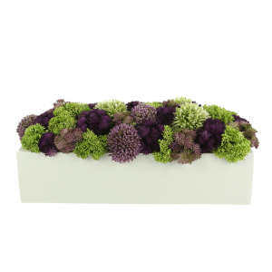 Creative Displays Multicolor Sedum Floral Display