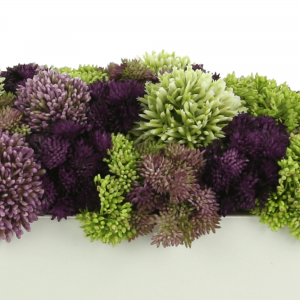 Creative Displays Multicolor Sedum Floral Display