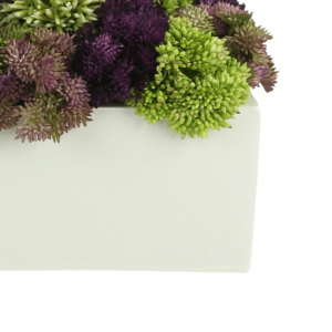 Creative Displays Multicolor Sedum Floral Display