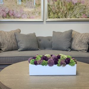 Creative Displays Multicolor Sedum Floral Display