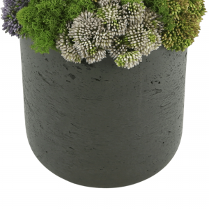 Creative Displays Multicolor Sedum Floral Display