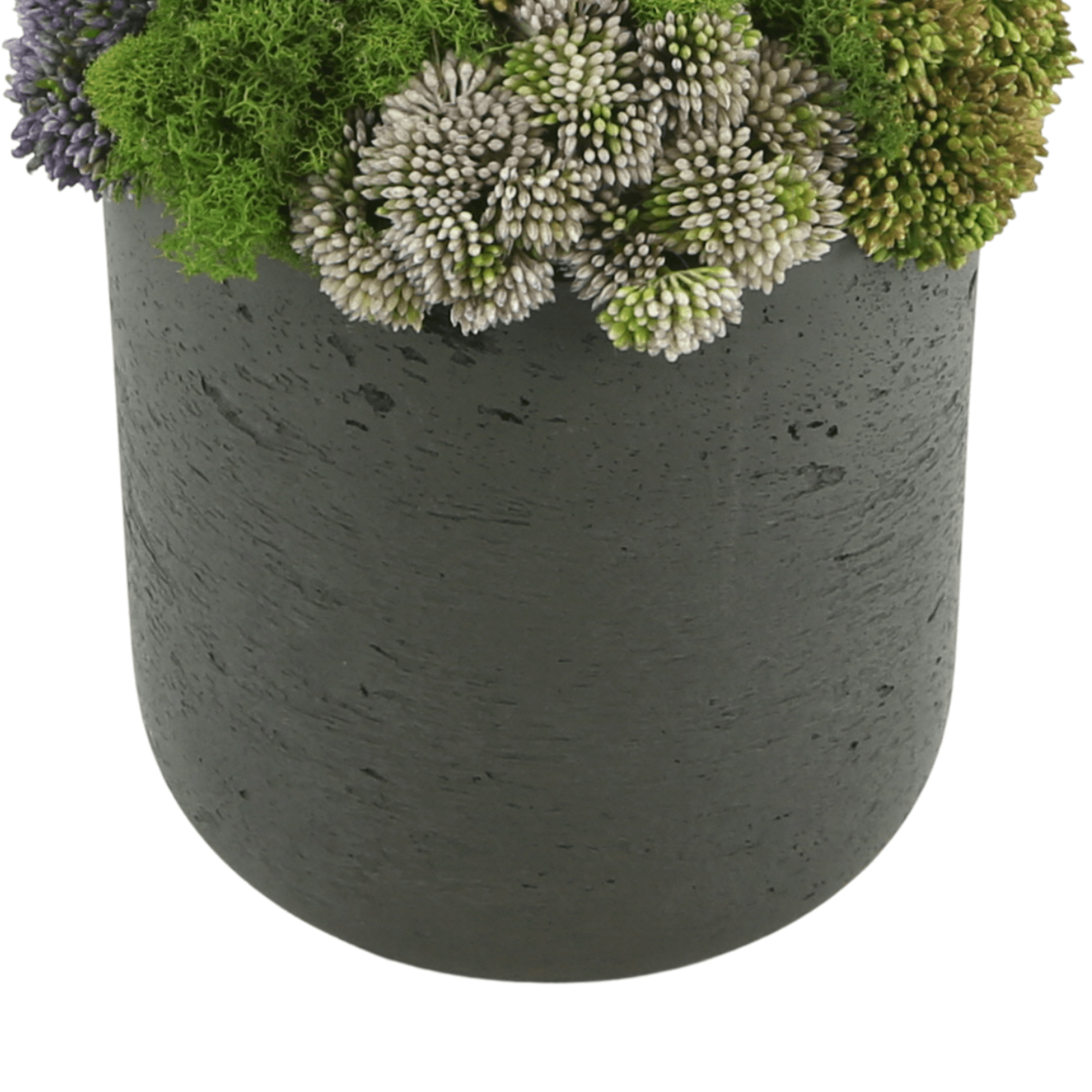 Mood Moss Arrangement in Round Bowl – Creative Displays and