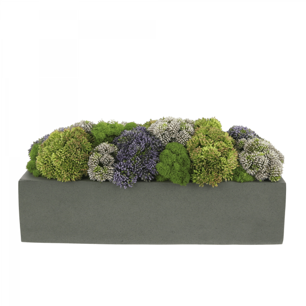 Creative Displays Multicolor Sedum Floral Display