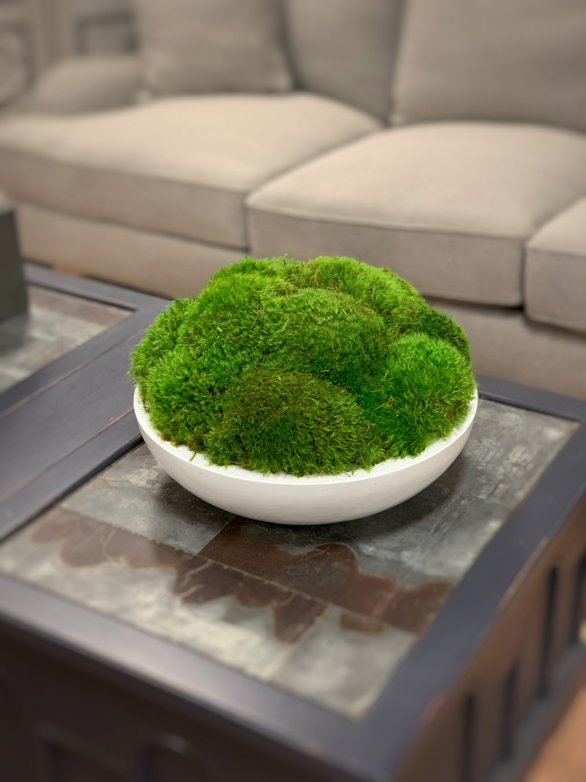 Mood Moss Arrangement in Round Bowl – Creative Displays and