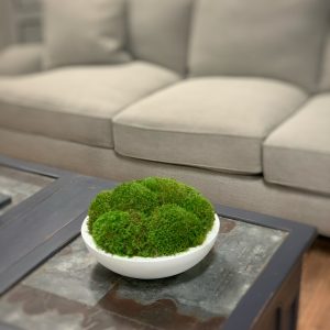 Creative Displays Green Mood Moss Arrangement