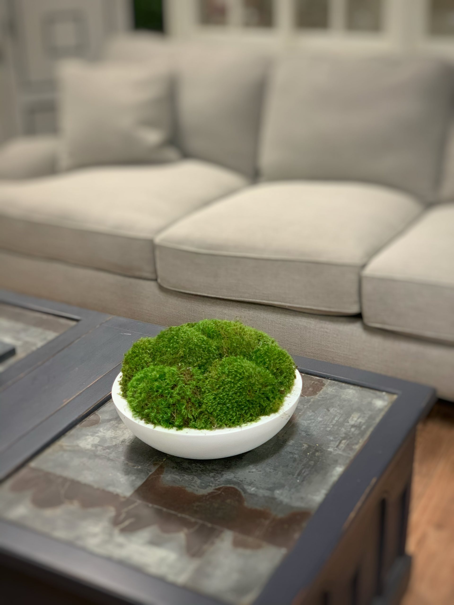 Creative Displays Green Mood Moss Arrangement