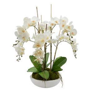 Creative Displays Floral Arrangement with White Orchid, Orchid Leaves, Bamboo and Moss in White Round Fiberstone Container