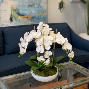 Orchid Arrangement in Round Planter with Moss