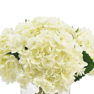 Hydrangea Arrangement in Glass Vase - Image 5