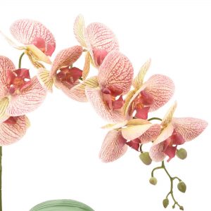 Yellow & Pink Orchid Floral Arrangement - Image 5