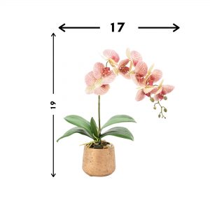 Yellow & Pink Orchid Floral Arrangement - Image 3