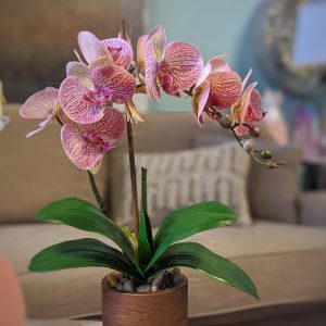 Yellow & Pink Orchid Floral Arrangement - Image 2