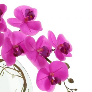 Orchid Arranged in Round Glass Vase with Vine
