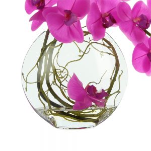 Orchid Arranged in Round Glass Vase with Vine