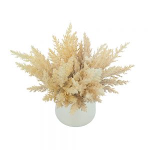 Pampas in a Ceramic Vase