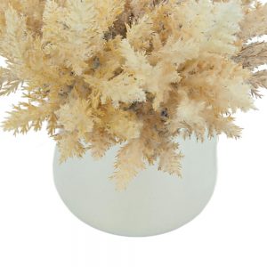 Pampas in a Ceramic Vase