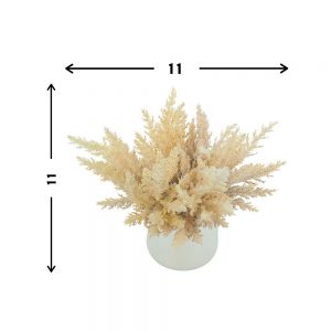 Pampas in a Ceramic Vase