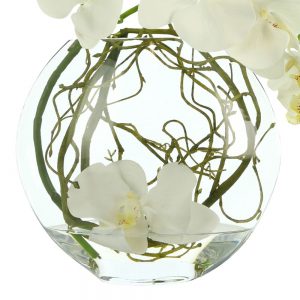 Orchids in Vase