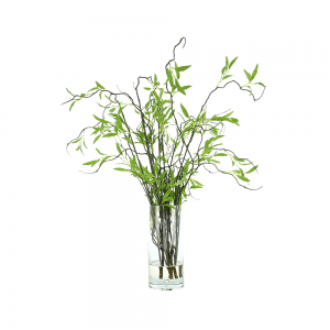 Willow Branch Arranged in Glass Vase